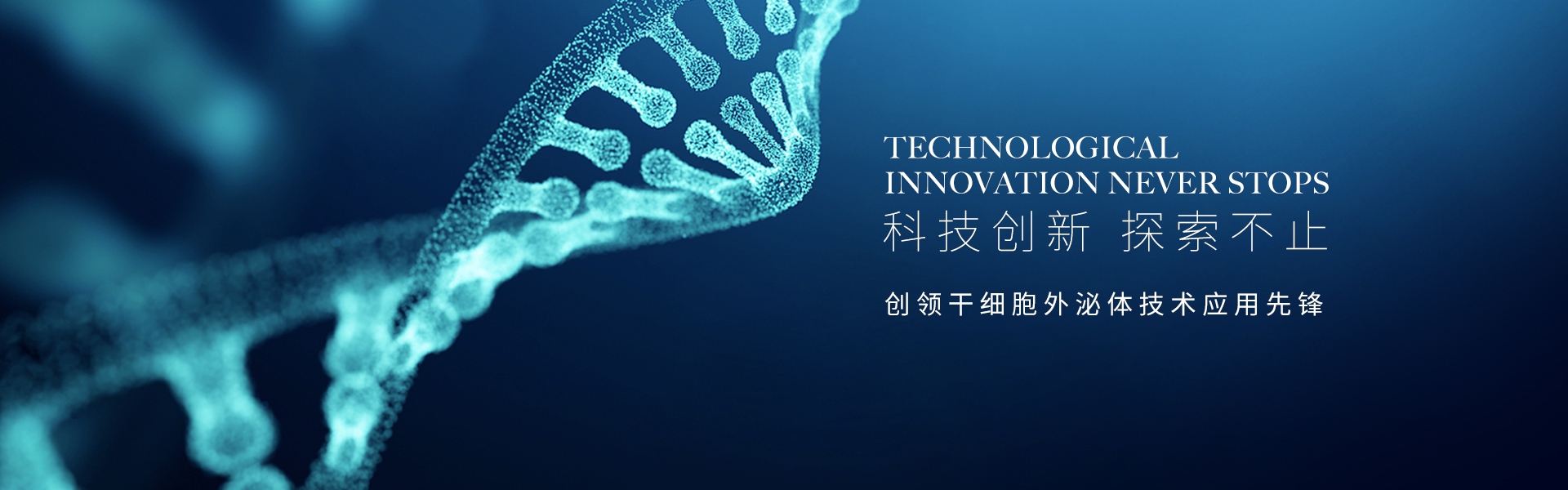 通栏图片
